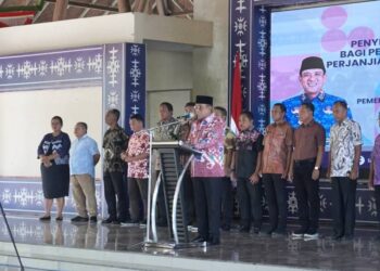 Di Tengah Efisiensi, Pemda Malteng Perkuat Layanan Publik dengan 1.749 PPPK