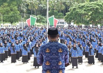 Simak! Segini Besaran Gaji PPPK Paruh Waktu Kabupaten Seram Bagian Timur