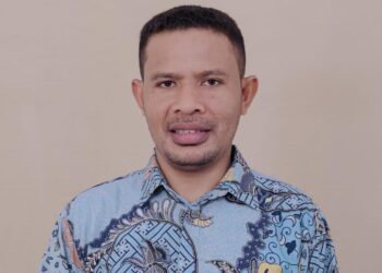 PPPK Paruh Waktu dan Ironi Pelayanan Publik Daerah Kepulauan di Tengah Efisiensi Anggaran